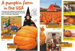 A pumpkin farm in the USA