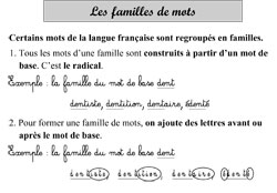 CE1 - Les familles de mots - leçon
