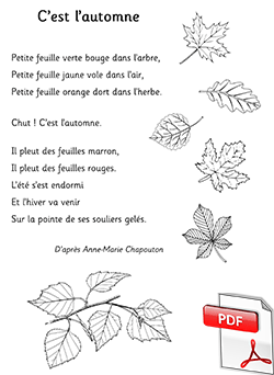 Poème C'est l'automne - Anne-Marie Chapouton