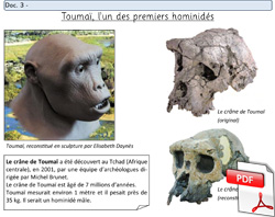 Toumai, un des premiers pré-hominidés