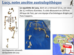 Préhistoire - Lucy, notre ancêtre australopithèque