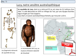 Préhistoire - Lucy notre ancêtre australopithèque