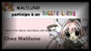Rallye-liens L'automne - Maliluno