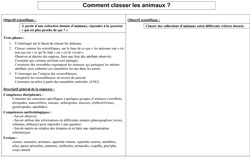 La classification animale - fiche de préparation